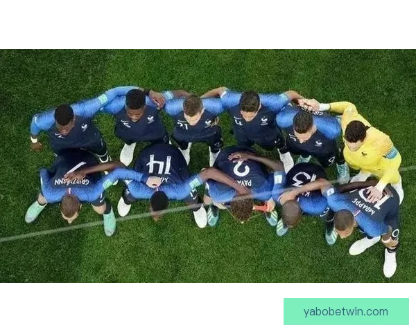 世界杯买球赔率全解析：如何掌握趋势提高投注胜率的方法